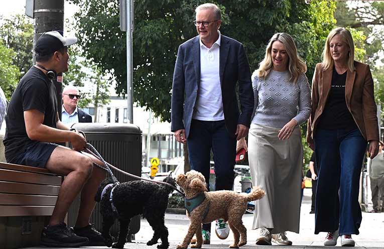 Albanese takes victory lap after Labor landslide