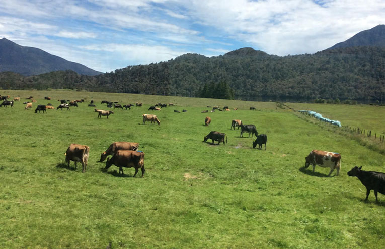 Bright spots in agriculture amid market volatility