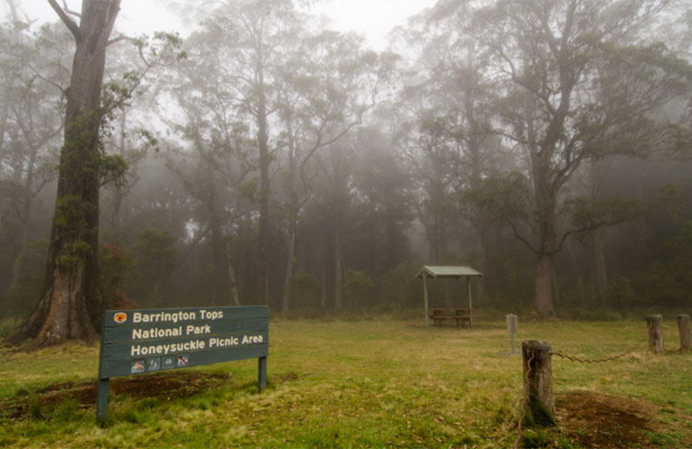 Access  to Barrington Tops from Gloucester ‘unavailable’ for months