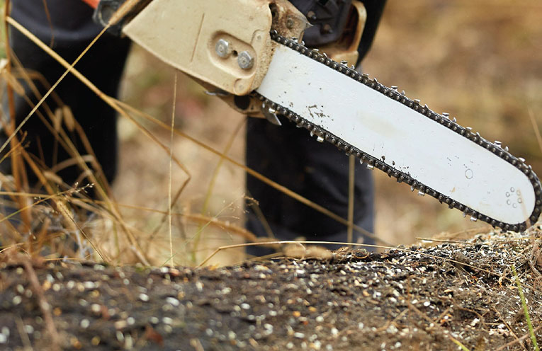NSW residents urged to purchase firewood collection authorisations this winter