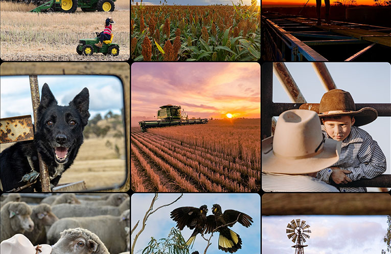 ‘Spirit of the Bush’ competition returns to celebrate life on the land