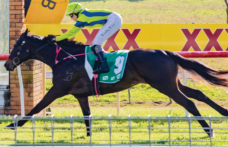 Independent review of thoroughbred racing in NSW