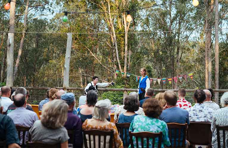 The ‘Shakespearience’ crowd at the stage in the forest.