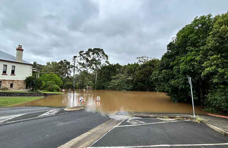 Deforestation can cause eight-fold increase in flood event risk, says report