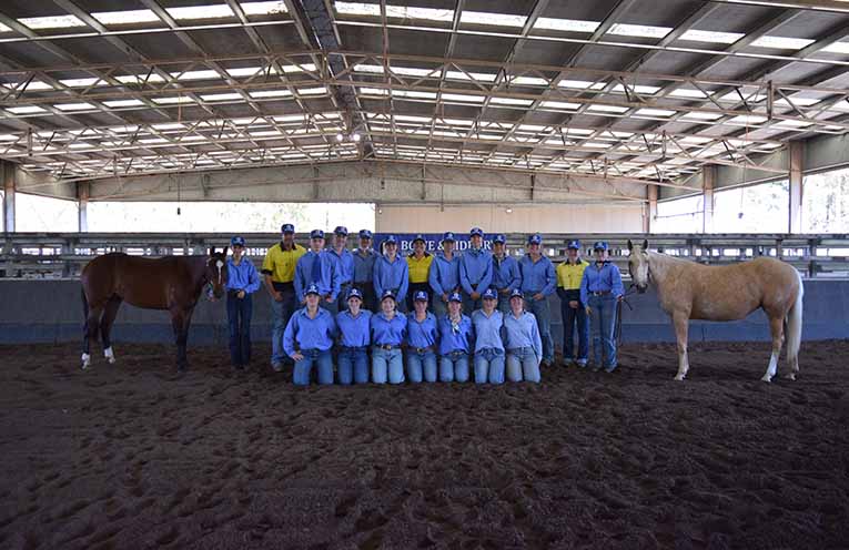 Tocal College showcases student excellence at annual stock horse sale