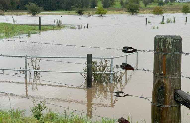 BlazeAid calls for volunteers to help rebuild fences destroyed in Mid North Coast floods