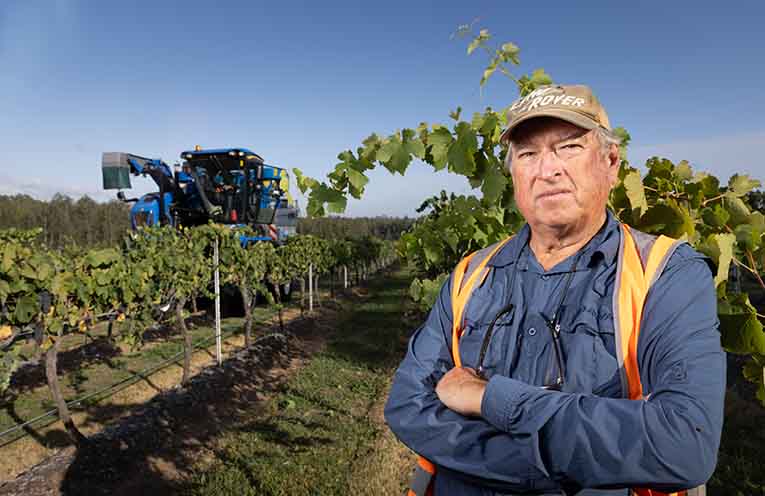 Wine and taxes: only one certainty for small producers