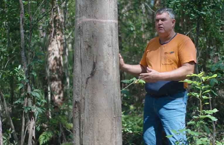 Hardwood supply chain at risk from soaring fuel prices