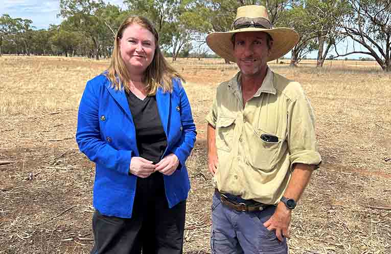 Review into feral animal management in NSW