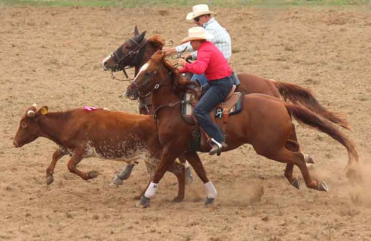 Bumper crowd for rodeo action in Dungog