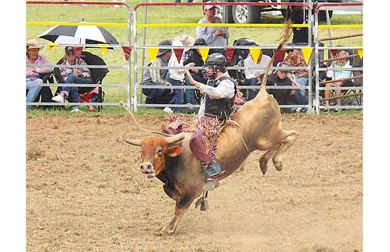 Dungog local Ken Rubeli captured all the action at the Easter Rodeo on Saturday.