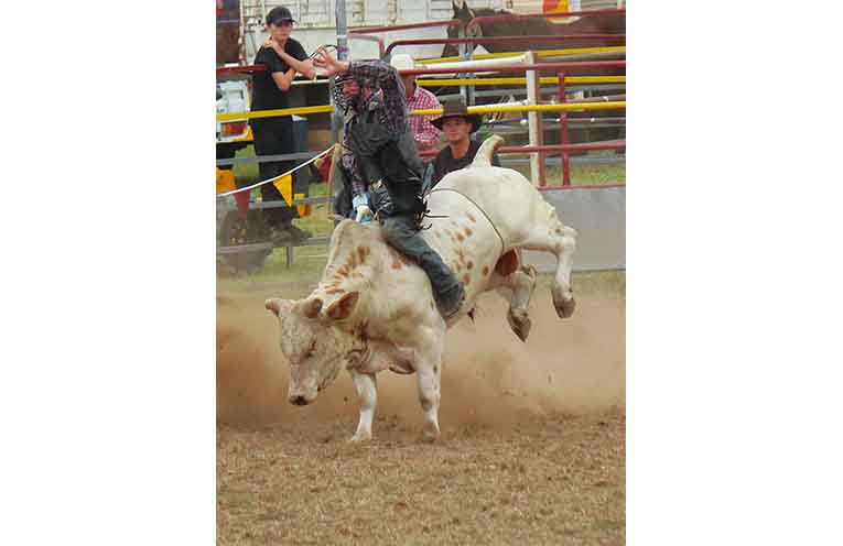 Dungog local Ken Rubeli captured all the action at the Easter Rodeo on Saturday.
