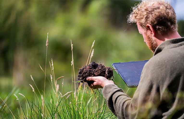 Practical insights for producers across the Hunter