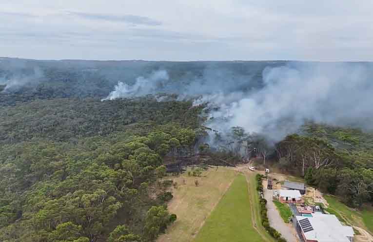 Taskforce launched to accelerate hazard reduction in NSW