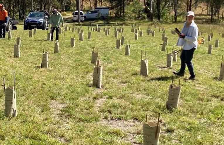Private landholders’ key role in the future of koalas