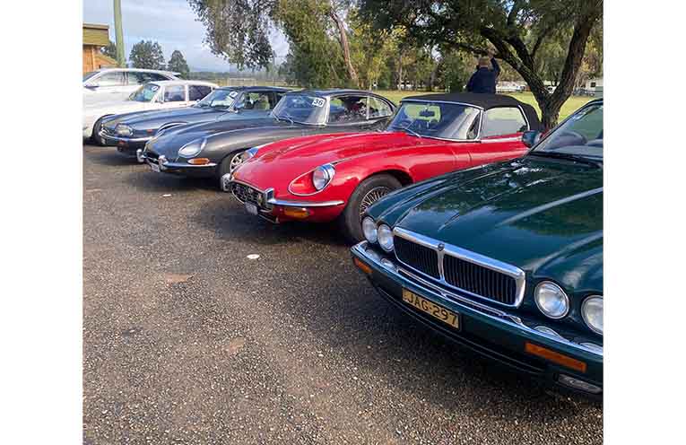 Jaguars lined up outside the Gloucester Rec Centre.