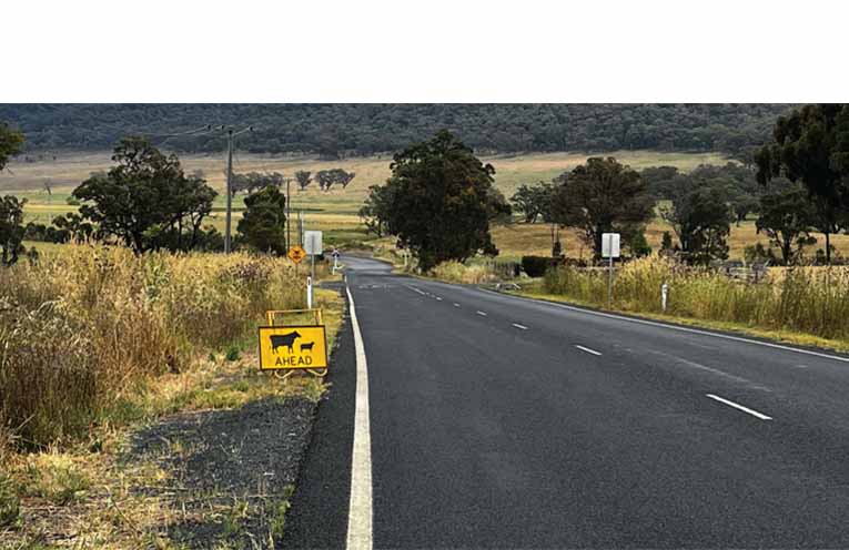 The four-week campaign encourages drivers to look out for wildlife. Photo: TfNSW.
