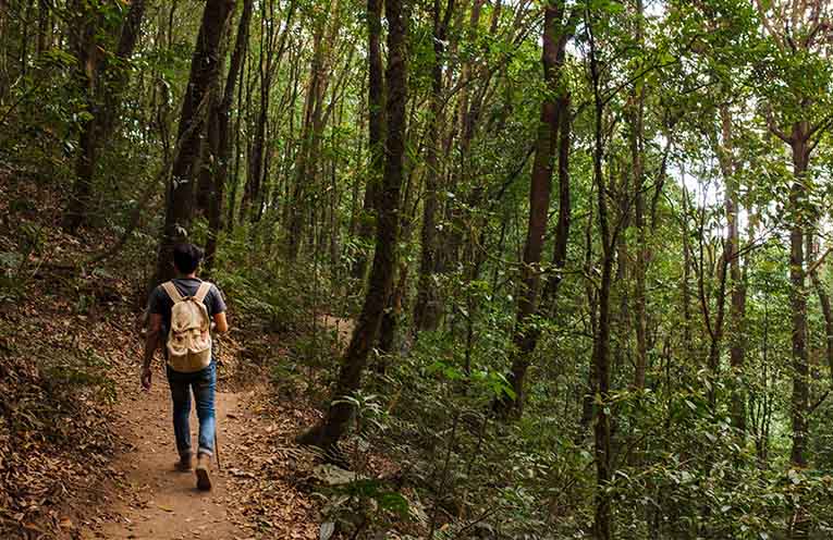 $130 million boost to make NSW national parks safer and more accessible for families