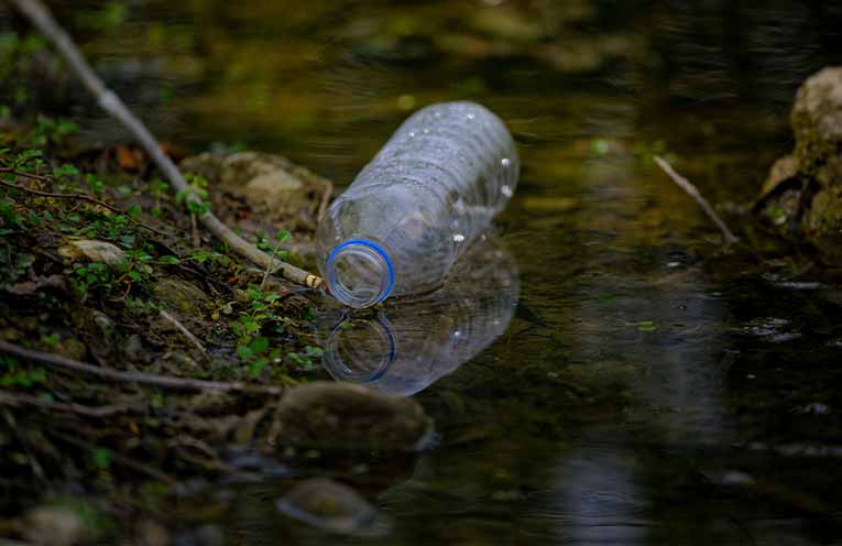 East coast NSW councils encourage residents to take the Plastic Free July pledge