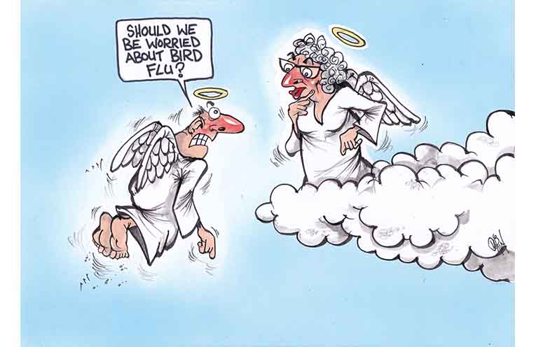 Angels