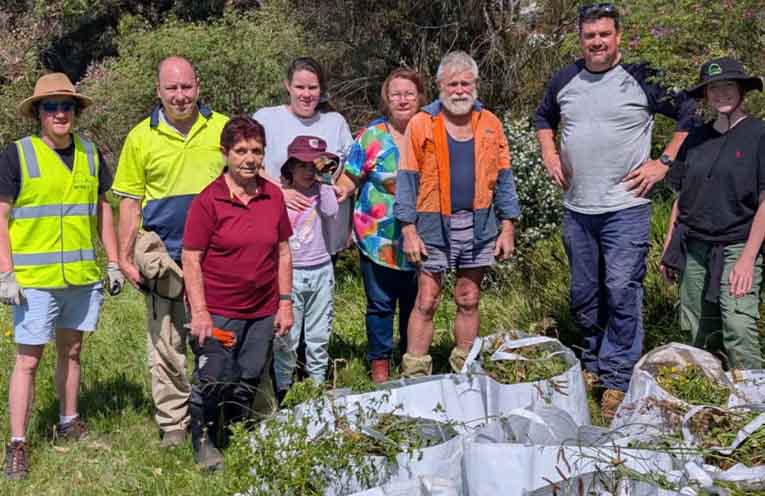 WIRES is urging Australians to care for Country during NAIDOC Week