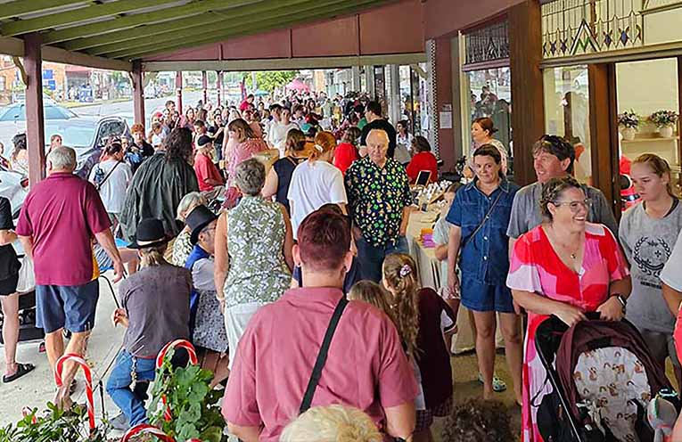 Dungog business chamber sends SOS for new blood to join committee