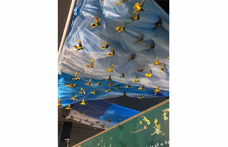 A visual representation of the Regent Honeyeater's remaining population hangs from the ceiling, highlighting the plight of this critically endangered bird. Photo: Althea Guinsberg.