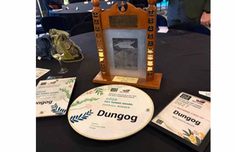 Perpetual trophy and award certificates at the Dungog table. Photo: Julie Overton.